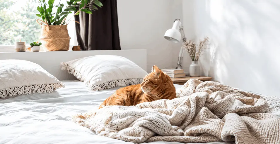 Step 2 — enjoy fresher sleep with less frequent washing